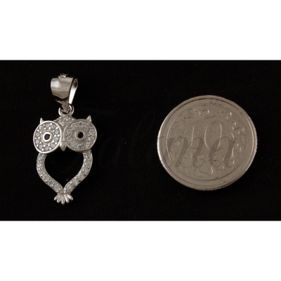 Wisiorek srebrny sowa z monetą w0428