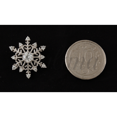 Wisiorek srebrny Płatek śniegu śnieżka z monetą w0423